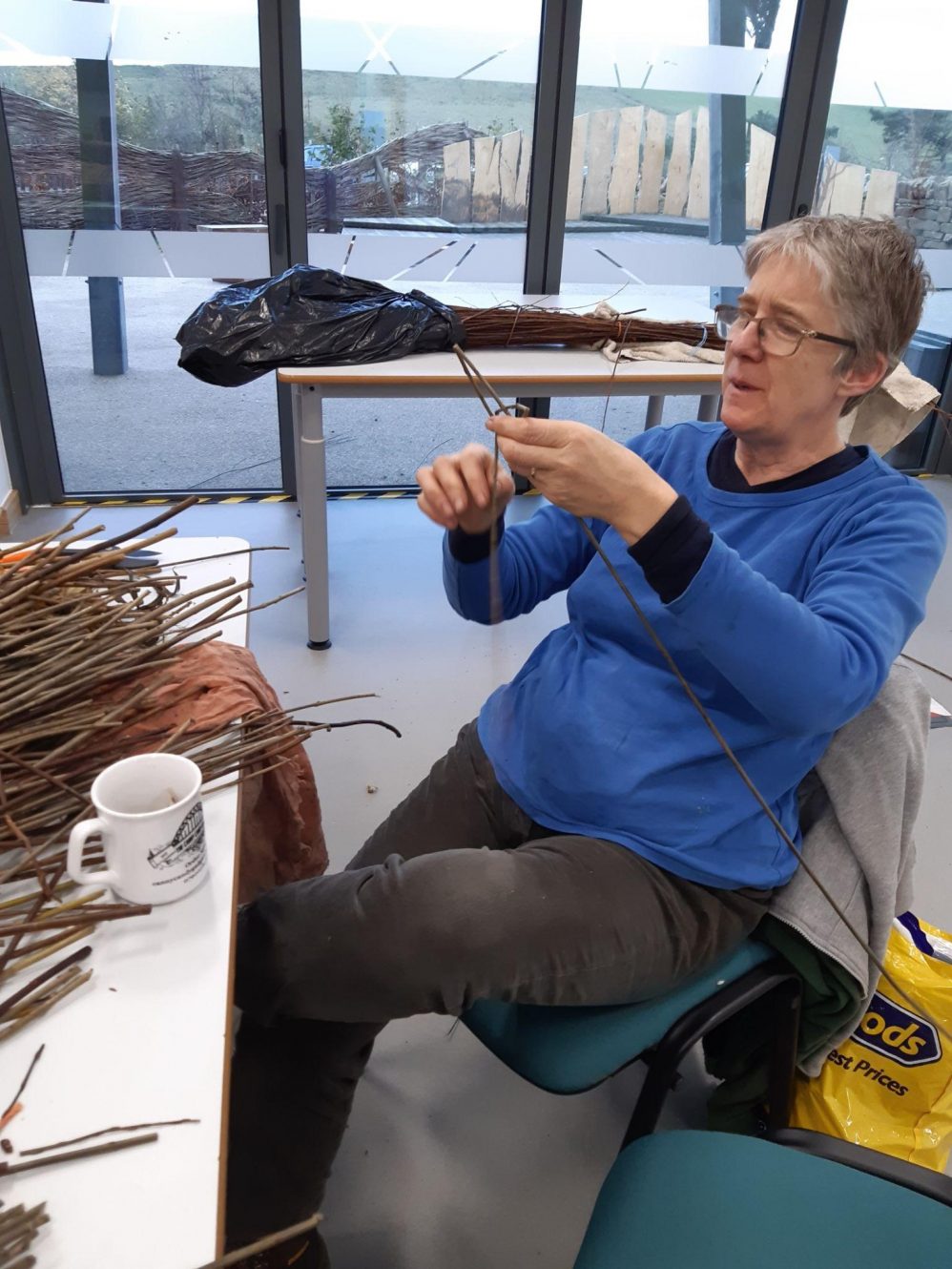 Gardening Journal: A Willow Weaving Experience 4