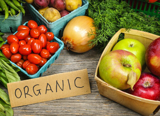 Food Newcastle & Organic September