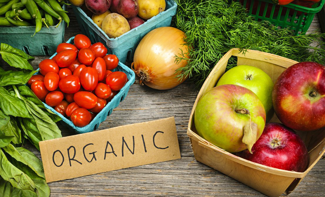 Food Newcastle & Organic September