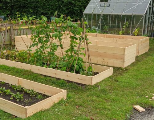The stars of the show are the four raised beds, two of which have been specially built so that they are taller than the soil level, this means that anyone who comes to us with, who cannot bend down will be able to work comfortably looking after all the wonderful plants that will grow. 