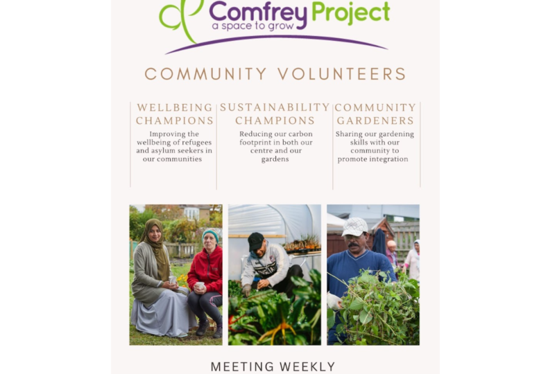 Community Volunteering